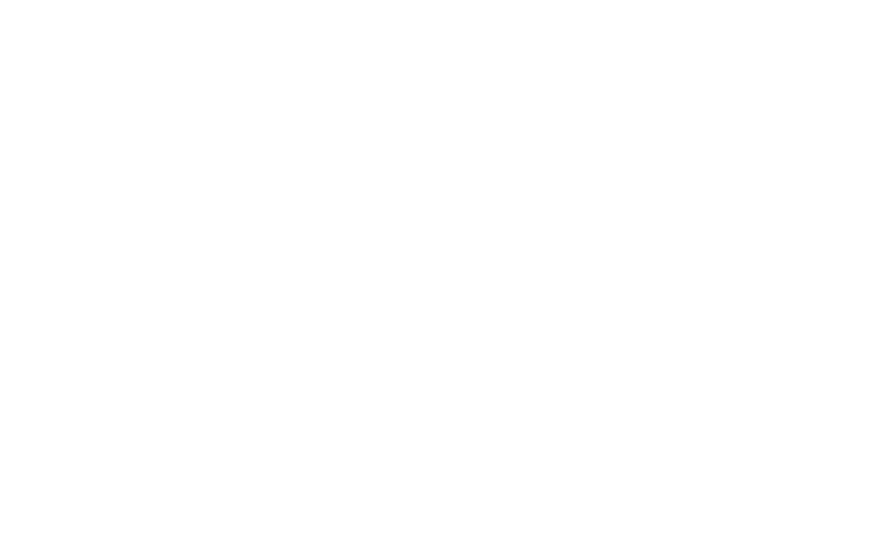 Witt & Partner